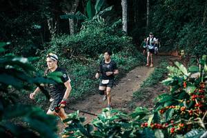 BIB: 
                            <button type="button" onclick="openModal(25803856)" class="btn btn-primary btn-sm float-right btn-popup" data-toggle="modal" data-target=".modal-high-quality">
                        <i class="fas fa-shopping-cart"></i> Add to Cart
                    </button>
                                            <button type="button" onclick="isThisMe(25803856, true)" class="btn btn-success btn-sm float-right btn-popup btn-isme hidden" data-toggle="tooltip" data-placement="bottom" title="นี่คือรูปของคุณใช่ไหม คลิกที่นี่เพื่อเอาเข้าอัลบั้ม">
                        <i class="fas fa-plus"></i> Add to album
                    </button>
                    <button type="button" onclick="isThisMe(25803856, false)" class="btn btn-warning btn-sm float-right btn-popup btn-isnotme hidden">
                        <i class="fas fa-ban"></i> Remove from album
                    </button>